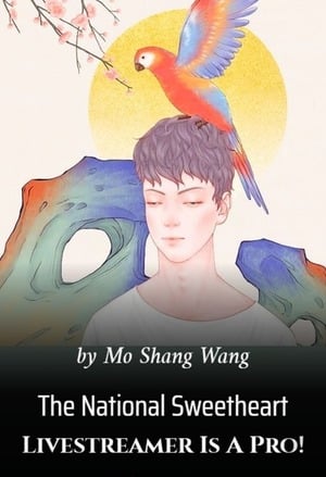 The National Sweetheart Livestreamer Is A Pro! - Free online novel on NovelFlow The National Sweetheart Livestreamer Is A Pro! cover - Read free novel on NovelFlow