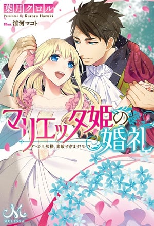 Marietta-hime no Konrei - Free online novel on NovelFlow Marietta-hime no Konrei cover - Read free novel on NovelFlow