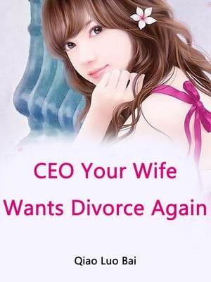 CEO, Your Wife Wants Divorce Again cover