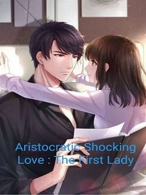 Aristocratic Shocking Love: The First Lady - Free online novel on NovelFlow Aristocratic Shocking Love: The First Lady cover - Read free novel on NovelFlow