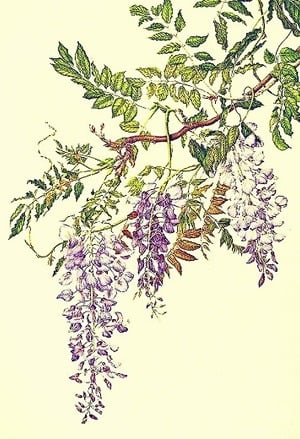 Aloof King and Cool (Acting) Queen - Free online novel on NovelFlow Aloof King and Cool (Acting) Queen cover - Read free novel on NovelFlow