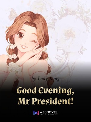 Good Evening, Mr President! cover - Read free novel on NovelFlow
