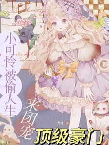 Stolen Life of the Poor Girl, Top Luxury Family's Group Favor cover