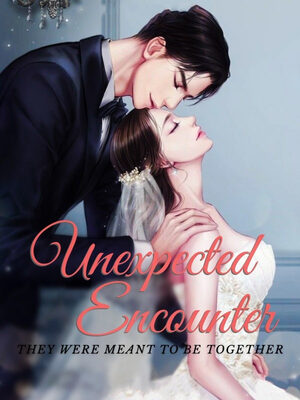 Unexpected Encounter:They Were Meant To Be Together - Free online novel on NovelFlow Unexpected Encounter:They Were Meant To Be Together cover - Read free novel on NovelFlow