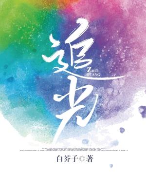 Chasing the Light cover