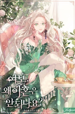 Honey, Why Can't We Get a Divorce? cover