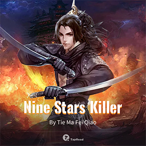 Nine Stars Killer cover