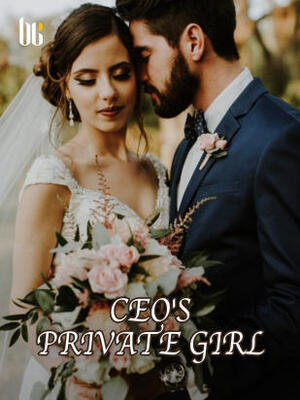 CEO's Private Girl - Free online novel on NovelFlow CEO's Private Girl cover - Read free novel on NovelFlow