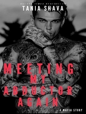 Meeting My Abductor Again cover