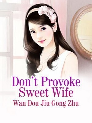 Don't Provoke Sweet Wife cover - Read free novel on NovelFlow