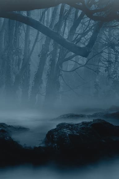 A Taste of Madness cover