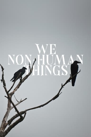 We Non Human Things cover