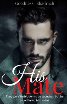 His Mate - Free online novel on NovelFlow His Mate cover - Read free novel on NovelFlow