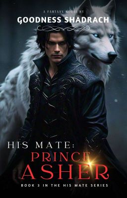 His Mate: Prince Asher - Free online novel on NovelFlow His Mate: Prince Asher cover - Read free novel on NovelFlow