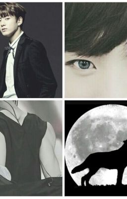 The Strongest Alpha's Mate/J.JK - Free online novel on NovelFlow The Strongest Alpha's Mate/J.JK cover - Read free novel on NovelFlow