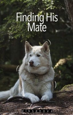 Finding His Mate (bxb) - Free online novel on NovelFlow Finding His Mate (bxb) cover - Read free novel on NovelFlow