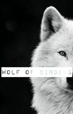 Wolf of Cinders - Free online novel on NovelFlow Wolf of Cinders cover - Read free novel on NovelFlow
