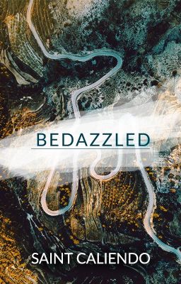 Bedazzled | ✓ - Free online novel on NovelFlow Bedazzled | ✓ cover - Read free novel on NovelFlow