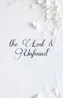 the Lost & Unfound : my diary cover