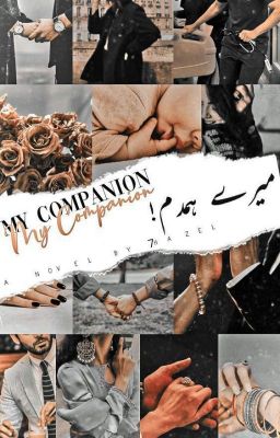 My companion | میرےہمدم - Free online novel on NovelFlow My companion | میرےہمدم cover - Read free novel on NovelFlow