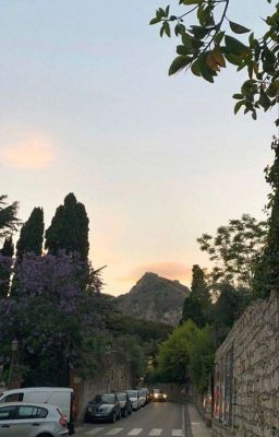 yes to heaven - trevor zegras - Free online novel on NovelFlow yes to heaven - trevor zegras cover - Read free novel on NovelFlow