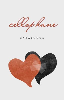 1.3 | Cellophane cover