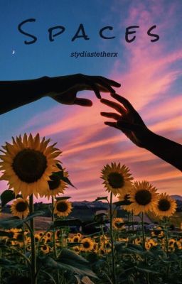 spaces | grayson dolan - Free online novel on NovelFlow spaces | grayson dolan cover - Read free novel on NovelFlow