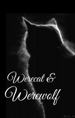 Werecat & werewolf (Editing) #watties2016 - Free online novel on NovelFlow Werecat & werewolf (Editing) #watties2016 cover - Read free novel on NovelFlow