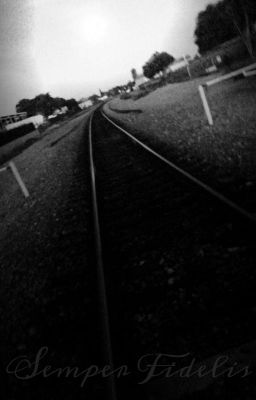 Forever In Love - Free online novel on NovelFlow Forever In Love cover - Read free novel on NovelFlow