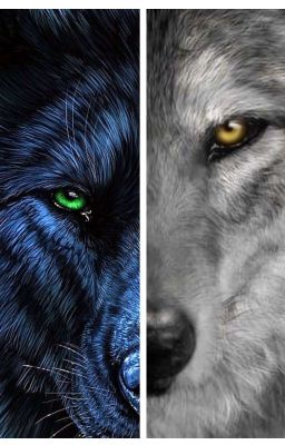 My Omega Is My Alpha - Free online novel on NovelFlow My Omega Is My Alpha cover - Read free novel on NovelFlow