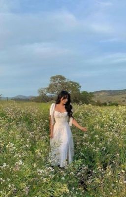 Thorns and petals - Free online novel on NovelFlow Thorns and petals cover - Read free novel on NovelFlow