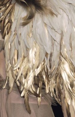 ANGELS ON CRACK cover