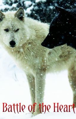 Werewolf: Battle of the Heart [BoyxBoy] cover - Read free novel on NovelFlow