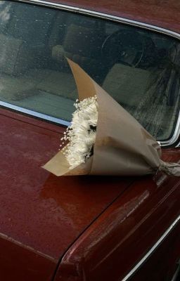 The engagement was abandoned, and she got married to the Great Man of Beijing ci - Free online novel on NovelFlow The engagement was abandoned, and she got married to the Great Man of Beijing ci cover - Read free novel on NovelFlow