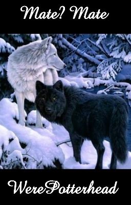 Mate? Mate. - Free online novel on NovelFlow Mate? Mate. cover - Read free novel on NovelFlow