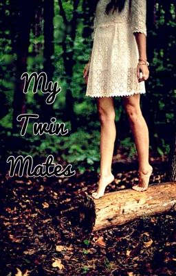 My Twin Mates - Free online novel on NovelFlow My Twin Mates cover - Read free novel on NovelFlow