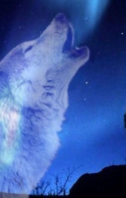 My little mate, aria - Free online novel on NovelFlow My little mate, aria cover - Read free novel on NovelFlow