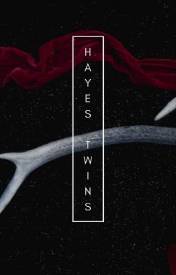The Hayes Twins - Free online novel on NovelFlow The Hayes Twins cover - Read free novel on NovelFlow