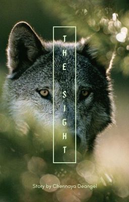 The Sight (bxb) - Free online novel on NovelFlow The Sight (bxb) cover - Read free novel on NovelFlow