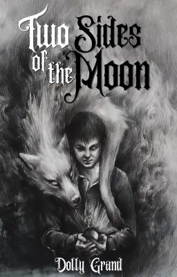 Two Sides of The Moon | Gay BxB | - Free online novel on NovelFlow Two Sides of The Moon | Gay BxB | cover - Read free novel on NovelFlow