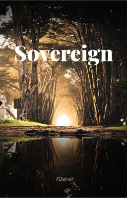 Sovereign (Silenced Part 2) - Free online novel on NovelFlow Sovereign (Silenced Part 2) cover - Read free novel on NovelFlow