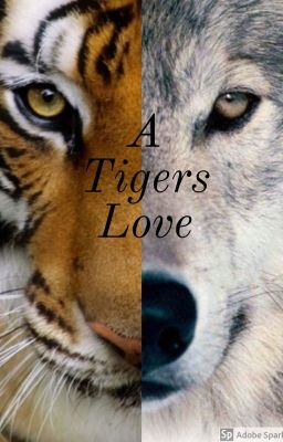 A Tigers Love✔ [Completed] cover - Read free novel on NovelFlow