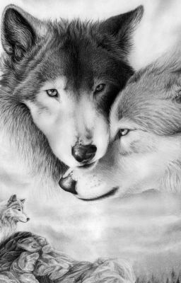 Rejected with the Alphas Baby - Free online novel on NovelFlow Rejected with the Alphas Baby cover - Read free novel on NovelFlow