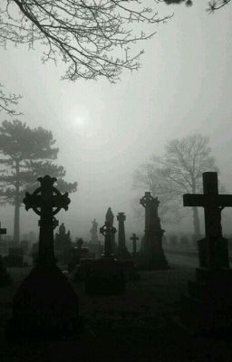 Boy in the Mist (Vampire BoyxBoy) - Free online novel on NovelFlow Boy in the Mist (Vampire BoyxBoy) cover - Read free novel on NovelFlow