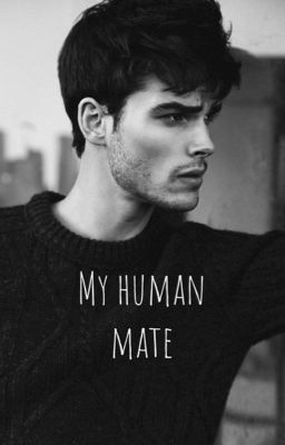 My human mate - Free online novel on NovelFlow My human mate cover - Read free novel on NovelFlow