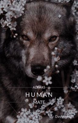 Alphas Human Mate - Free online novel on NovelFlow Alphas Human Mate cover - Read free novel on NovelFlow
