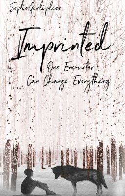 Imprinted [Sterek] cover