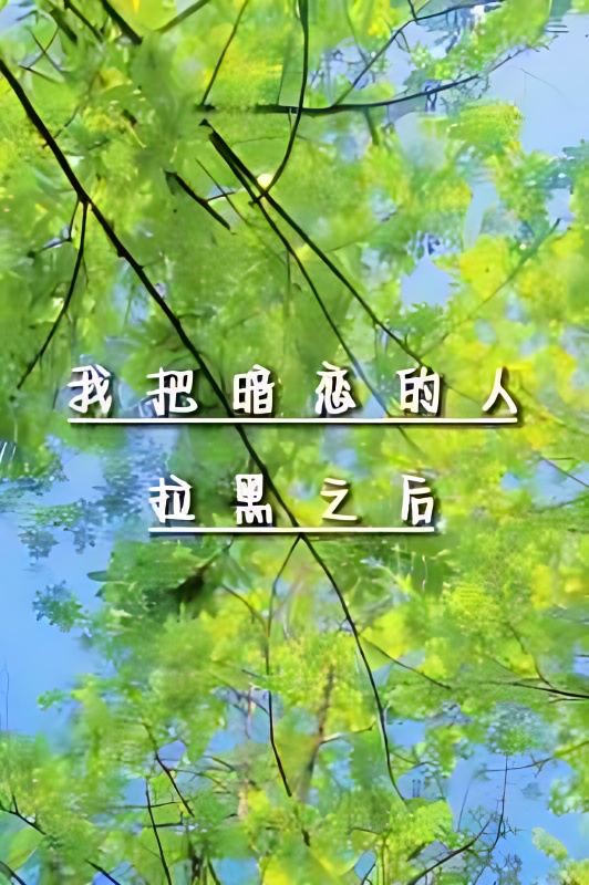 After I Blocked My Crush cover