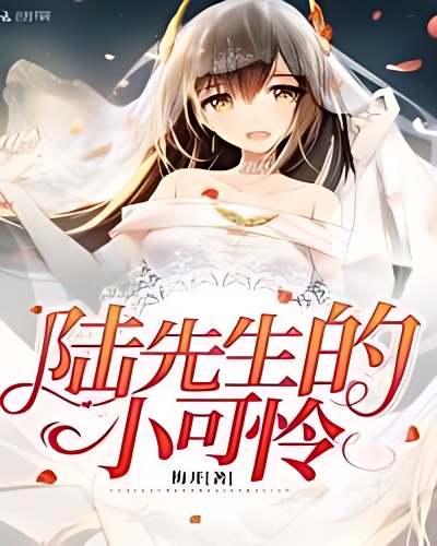 Mr. Lu's Little Pitiful cover