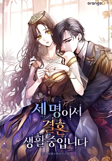 The Three Are Living a Married Life - Free online novel on NovelFlow The Three Are Living a Married Life cover - Read free novel on NovelFlow